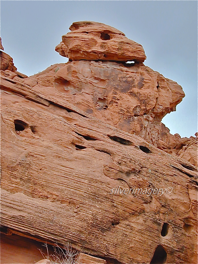 DSCN0293---Version-3