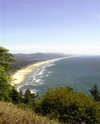 above manzanita