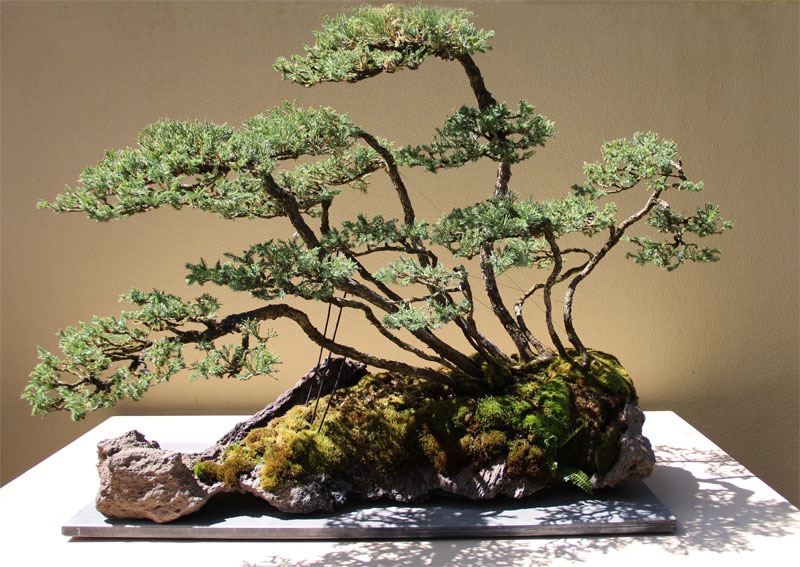 B-35